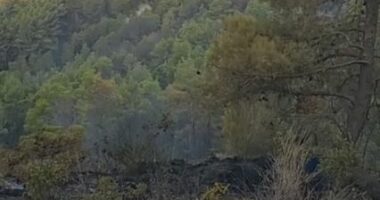 Mallakastër, riaktivizohet vatra e zjarrit në masivin pyjor Lofkënd-Ngraçije