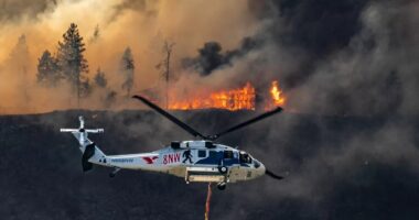 SHBA/ Mijëra të evakuar nga zjarret në Uashington
