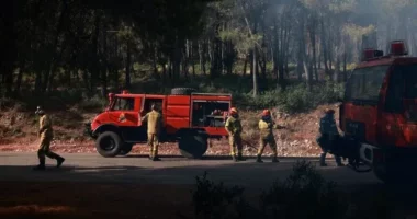 Agjencia e klimës e BE: Zjarri ka djegur mbi 10 mijë hektarë në Athinën perëndimore