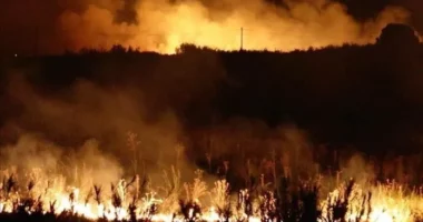 Greqia përfshihet nga zjarret, 39 vatra të reja brenda pak orësh