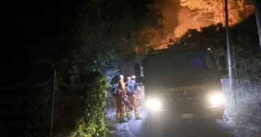 Zjarret kanë djegur 70 mijë hektarë në Itali