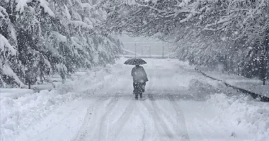 Evropa përvëlohet nga temperaturat e larta, Zelanda e Re goditet nga i ftohti polar