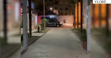 Armëmbajtje pa leje dhe shpërndarje të lëndëve narkotike/ Vlorë, pranga 4 personave