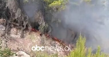 VIDEO/ Mallakastër, zjarr me intensitet të lartë në zonën pyjore të Drenies