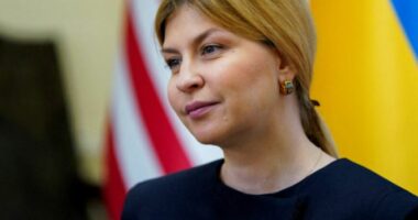 Zelensky shkarkon ambasadoren e Ukrainës në SHBA