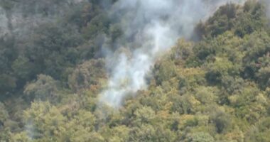 Krujë, kalon rreziku në Abaze/ Vatra e zjarrit nën kontroll, nuk rrezikohen banesa