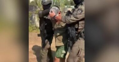 VIDEO/ I fshihej drejtësisë prej kohësh, arrestohet i shumëkërkuari Ylli Zalla