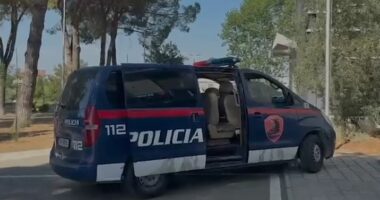 Divjakë, parandalohet krimi/ 22-vjeçari tentoi të vriste një person pas sherrit me sende të forta në lokal, 6 në pranga