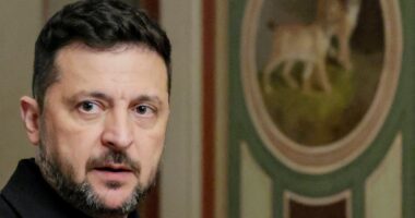 Zelensky: Diplomacia afrohet me çdo hap presioni ndaj Moskës