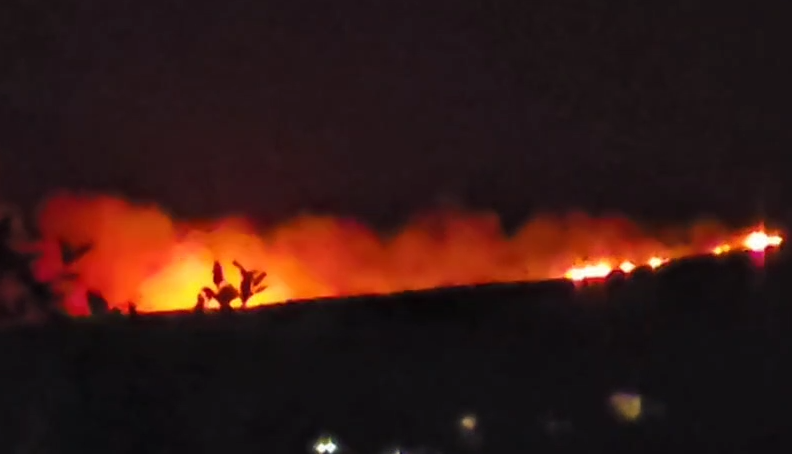 Vlorë/ Zjarr në Shashicë, flakët përhapen me shpejtësi