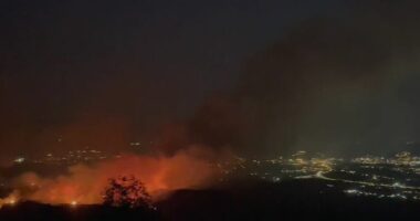 VIDEO/ Zjarr në Priskë të Madhe në Tiranë, flakët përhapen me shpejtësi
