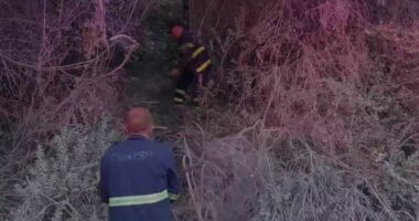 Situata me zjarret në Krujë, në flakë 4 zona/ Pritet ndërhyrja nga ajri në Bojë