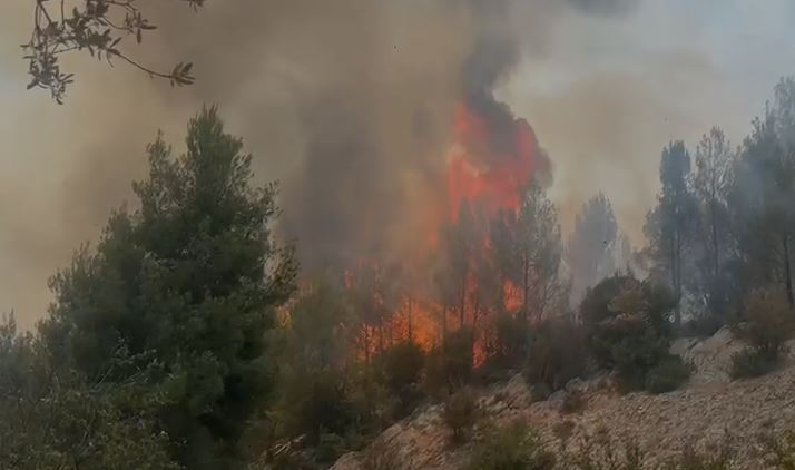 Krujë  Vatër e re zjarri në kurorën me pisha në Boje  ndërhyrje me helikopter për shuarjen e flakëve