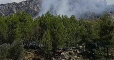 Riaktivizohet një vatër zjarri në malin e Krujës/ Zjarrfikësit në vendngjarje, ndërhyrje edhe nga ajri