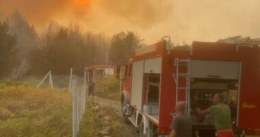 Situatë kritike nga zjarri në Pukë/ Evakuim i detyrueshëm i banorëve në fshatin Gojan i Madh