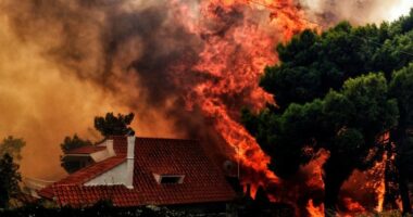 Greqi, ishujt në flakë/ Zjarret në Kretë, Paros dhe Lesbos. Digjen shtëpi, evakuohen banorët