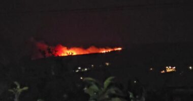 34 vatra zjarri në 24 orë, 5 ende aktive/ Vijon beteja me flakët në Malin e Dajtit