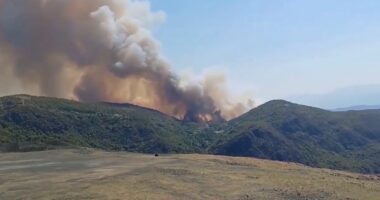 Fiken zjarret, vetëm 3 vatra aktive/ Përmirësohet situata, vetëm tre zjarre në Dajt, Bulqizë dhe Dibër