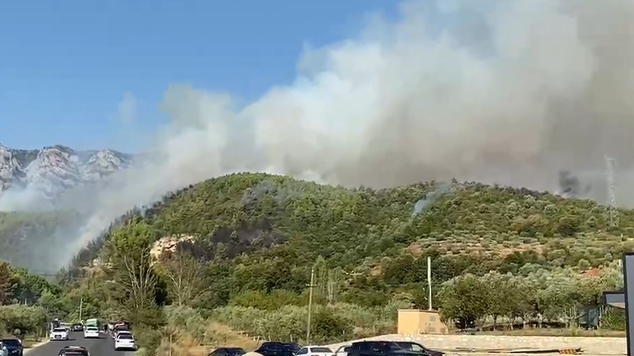 VIDEO  Rikthehen zjarret në Krujë  autoritetet në gatishmëri  në ndihmë edhe helikopteri
