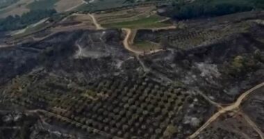 Pamjet nga lart/ Zjarri në Priskë të Madhe, çfarë lanë pas flakët që ‘pushtuan’ zonën