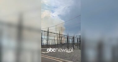 Zjarr pranë nënstacionit elektrik në Elbasan, flakët përfshijnë një parcelë me ullinj