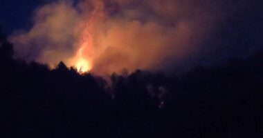 VIDEO/ Zjarri në zonën e Krastës, flakët rrezikojnë të përhapen drejt banesave, zjarrfikësit në terren