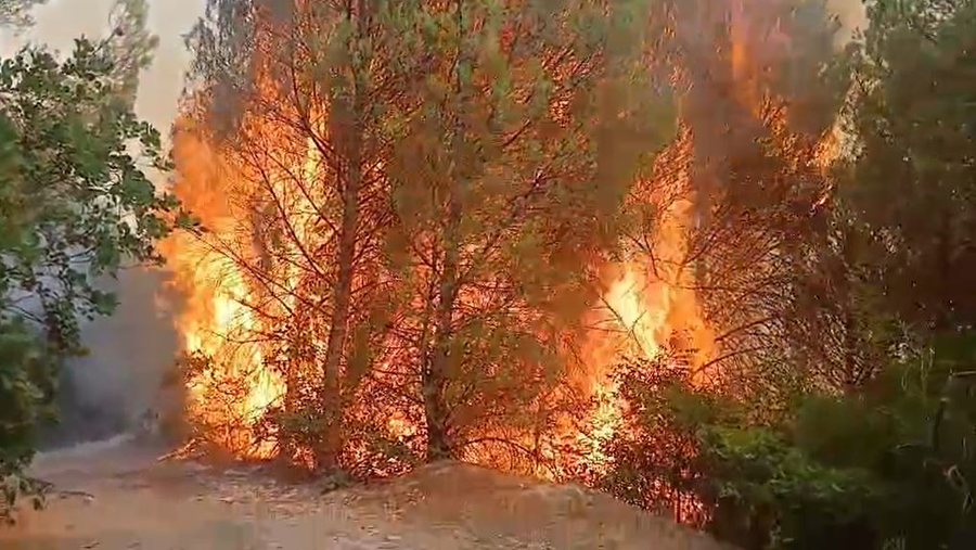 Lurë  hetim për  gardianët  e parkut  Shefi i monitorimit e dy roje  në procedim penal për zjarrin