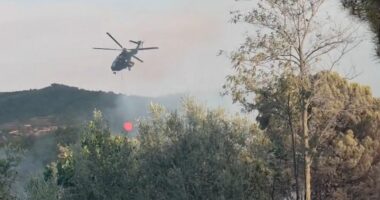 Zjarri në Mallakastër, vështirësohet situata/ Flakë në fshatin Ribaj, ndërpritet operacioni gjatë natës