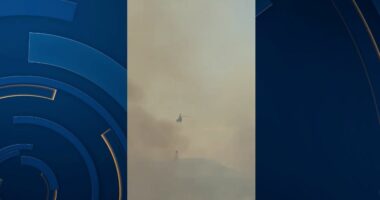 Nën kontroll zjarri në Finiq/ Angazhimi i zjarrfikësve dhe tre helikopterëve të FA shmangu rrezikun