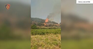 Zjarri rrezikon banesat në Mallakastër, evakuohen disa familje