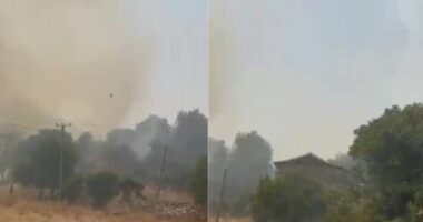 Zjarr në Vranisht të Himarës, ndalohet një person si i dyshuar për zjarrvënie