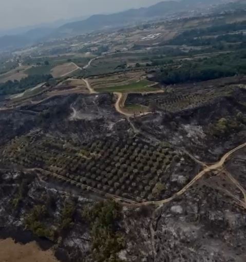 zjarri-ne-priske-te-madhe-ne-tirane-tedi-blushi-rama-shpenzoi-4-3-mln-euro-per-nje-koncert-nuk-jane-braktisur-vetem-qytetaret-por-edhe-zjarrfikesit