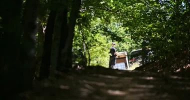 Kosovë/ Identifikohen tri viktima nga varrezat në Zubin-Potok, i përkasin “Grupit të Intelektualëve”