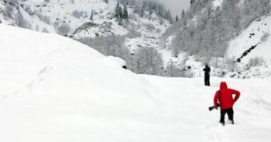 Orteku në Rusi vret 11 persona dhe plagos 6 të tjerë