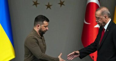 Sulmet në Detin e Zi/ Erdogani i tërheq vërejtjen Zelenskyt