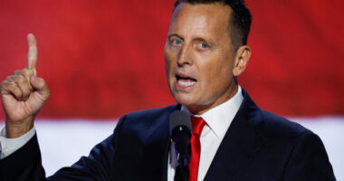 “Po shkelet hapur Kushtetuta”/ Grenell mbështet 6 deputetët e LDK: Miq të mëdhenj të Amerikës