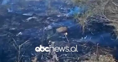 Fier/ Shuhet zjarri pranë Parkut Arkeologjik të Apolonisë, arrestohen dy banorë për zjarrvënie