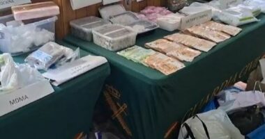 Trafik droge përmes pakove postare, goditet banda kriminale në Valencia/ Arrestohen 5 persona
