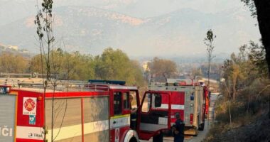 Kryeministri Rama për zjarret në Himarë dhe Fier: Situata nën kontroll, vijon evidentimi i dëmeve