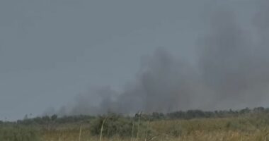 Zjarr masiv në pyllin e Semanit, flakët përparojnë drejt masivit pyjor me pisha