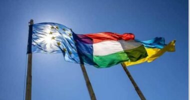 Integrim i përshpejtuar i Ukrainës në BE? Hungaria e kundërshton