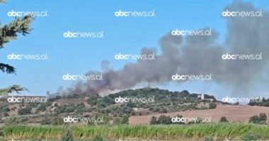 VIDEO/ Zjarr pranë Parkut Arkeologjik të Apolonisë, në vendngjarje forcat zjarrfikëse