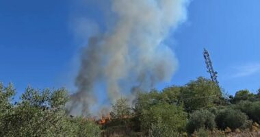 VIDEO/ Zjarri përfshin kodrat pranë qytetit antik të Apolonisë