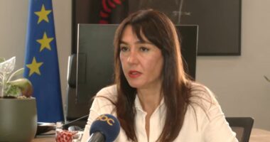 Shqipëria ndalon mishin e Brazilit/ Zv.ministrja Kika: Shkak për vendimin përdorimi i lartë i antibiotikëve