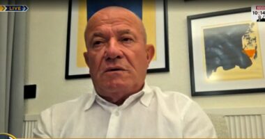 “BE, tre pista për integrimin e Shqipërisë”, Meçe: Integrimi pa të drejtë vetoje, mënyra me e mirë
