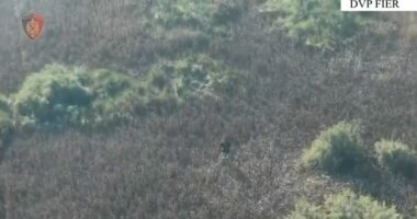 Fier/Ndezën zjarre në fshatrat Eskaj dhe Hasturkas, arrestohen dy persona