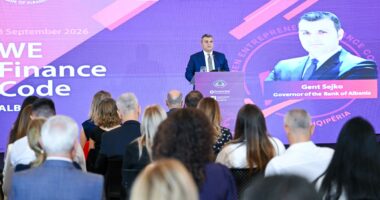 Financimi i grave sipërmarrëse/ Sejko: Më shumë mbështetje financiare për gratë që kanë një plan biznesi
