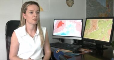 Vjeshta erdhi (vetëm në kalendar) IGJEO: Temperaturat do rriten sërish nga e diela
