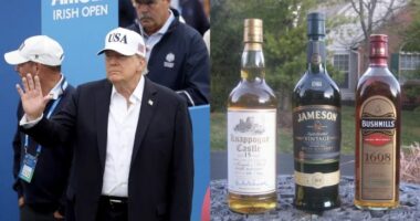 Trump premton heqjen e tarifave për uiskin irlandez