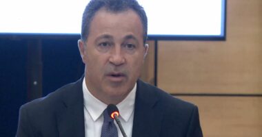 “Anëtarësimi në BE është prioriteti i prioriteteve tona”/ Peleshi: Më 28 shtator mbahet Konferenca Ndërparlamentare